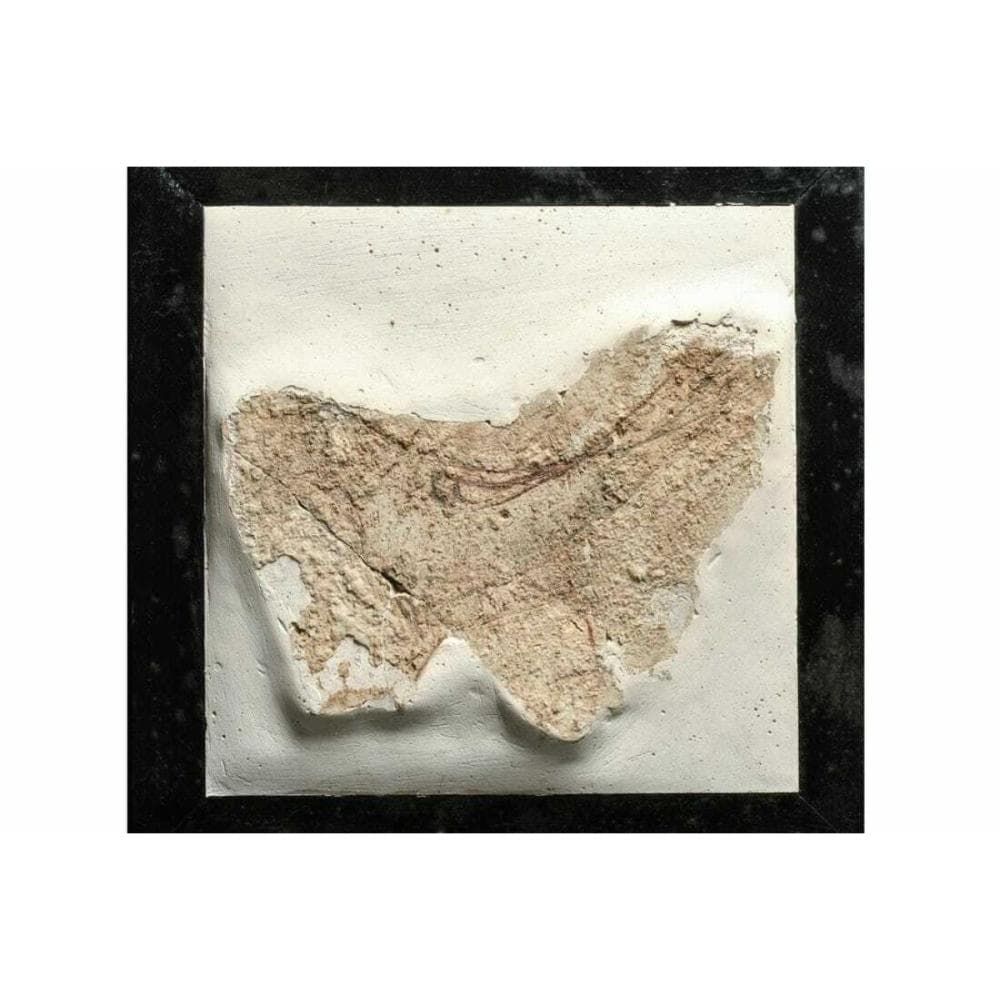 Ancient Roman or Etruscan Fresco Fragment with Bird .Ca. 4th century B.C.
