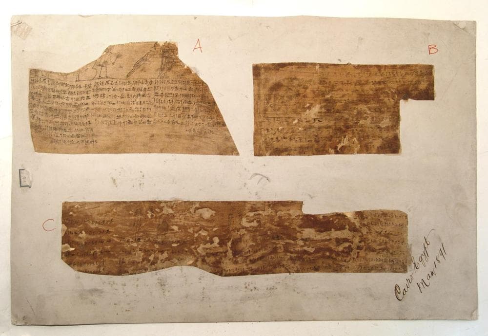 Incredibly rare set of 9 Book of Dead linen fragments