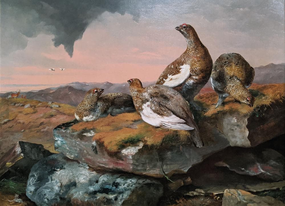 Bell Oil, Ptarmigans