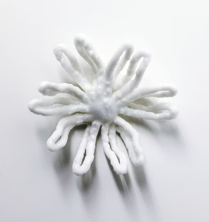 Inge Gutbrod "WachsBlüte g1"
