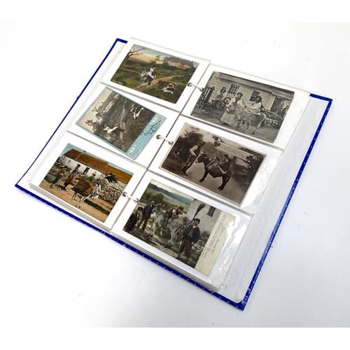 A folder of 19th century and later Donkey postcards, to incl...