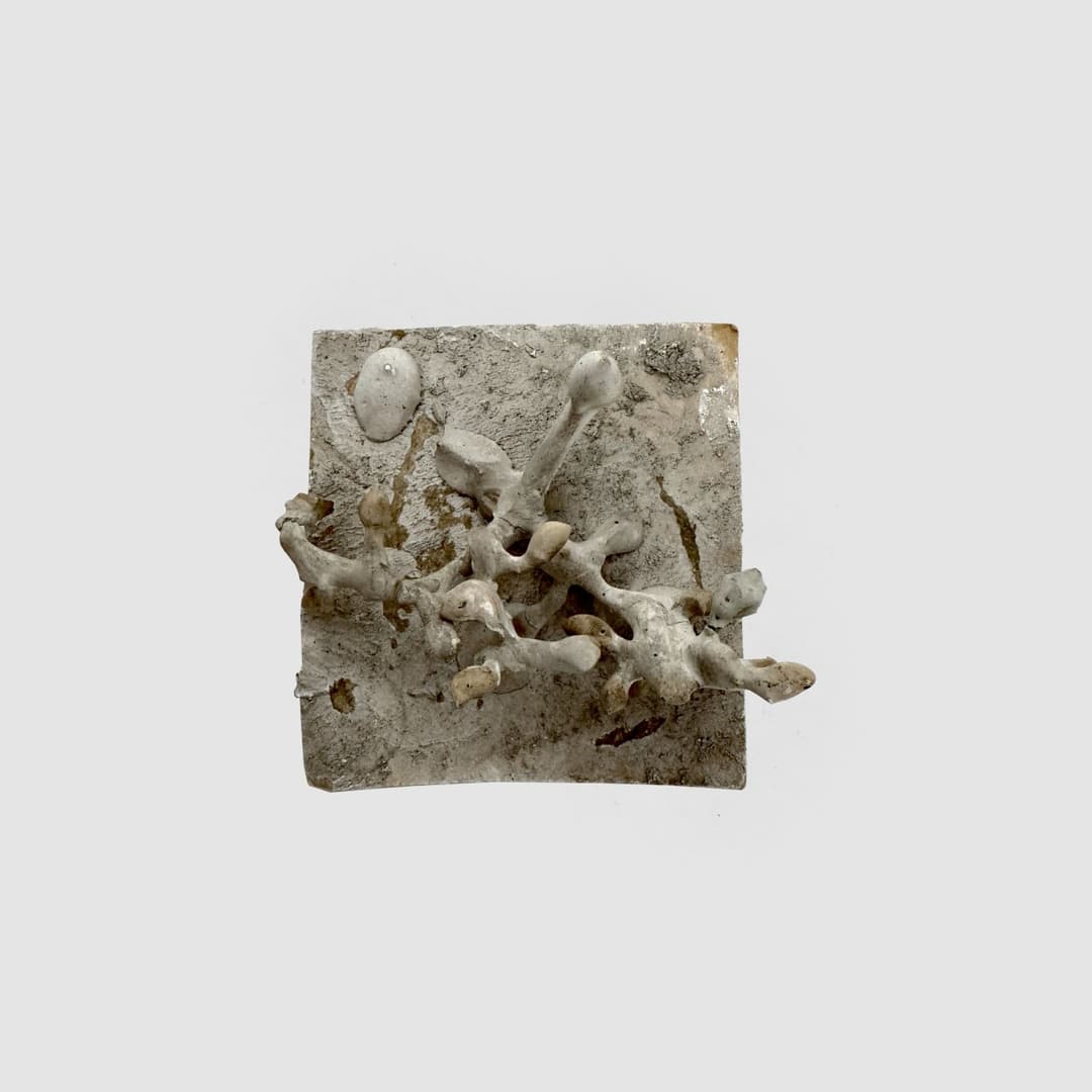 Hermann Glöckner Ein Weintraubenstiel auf quadratischer Platte, gipsübergossen.
