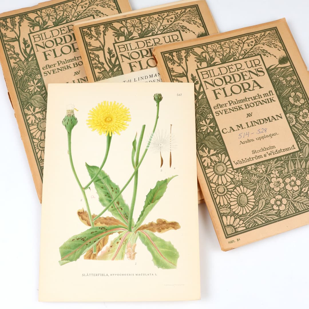 C.A.M LINDMAN. "Bilder ur Nordens Flora". Häften med litografiska