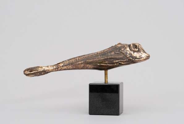 K. Taratynov, a bronze fish