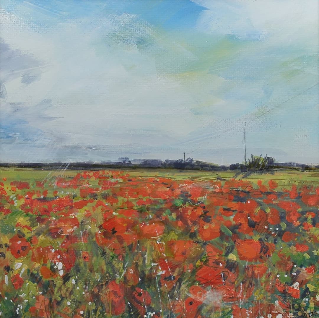 Poppies and farm fields by Sarah Carrington