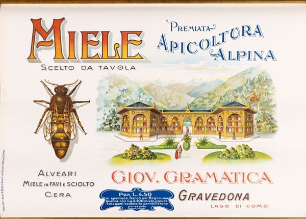 Miele - Premiata Apicoltura Alpina