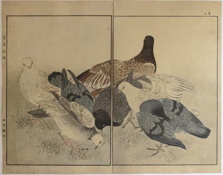 Imao KEINEN (1845-1924) - Pictures of Birds and Flowers