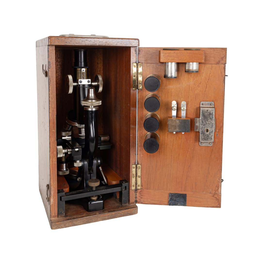 Lote 2238-200€ | Lamas Bolaño