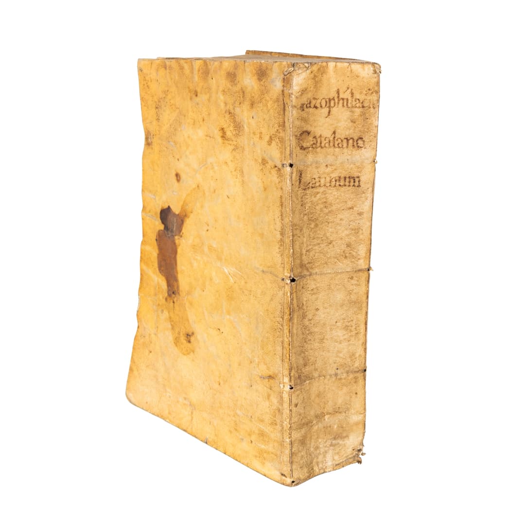 Lote 2269-100€ | Lamas Bolaño