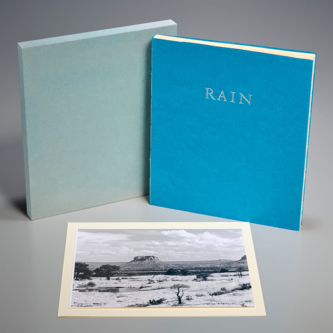 Leslie Marmon Silko, Rain, 1996
