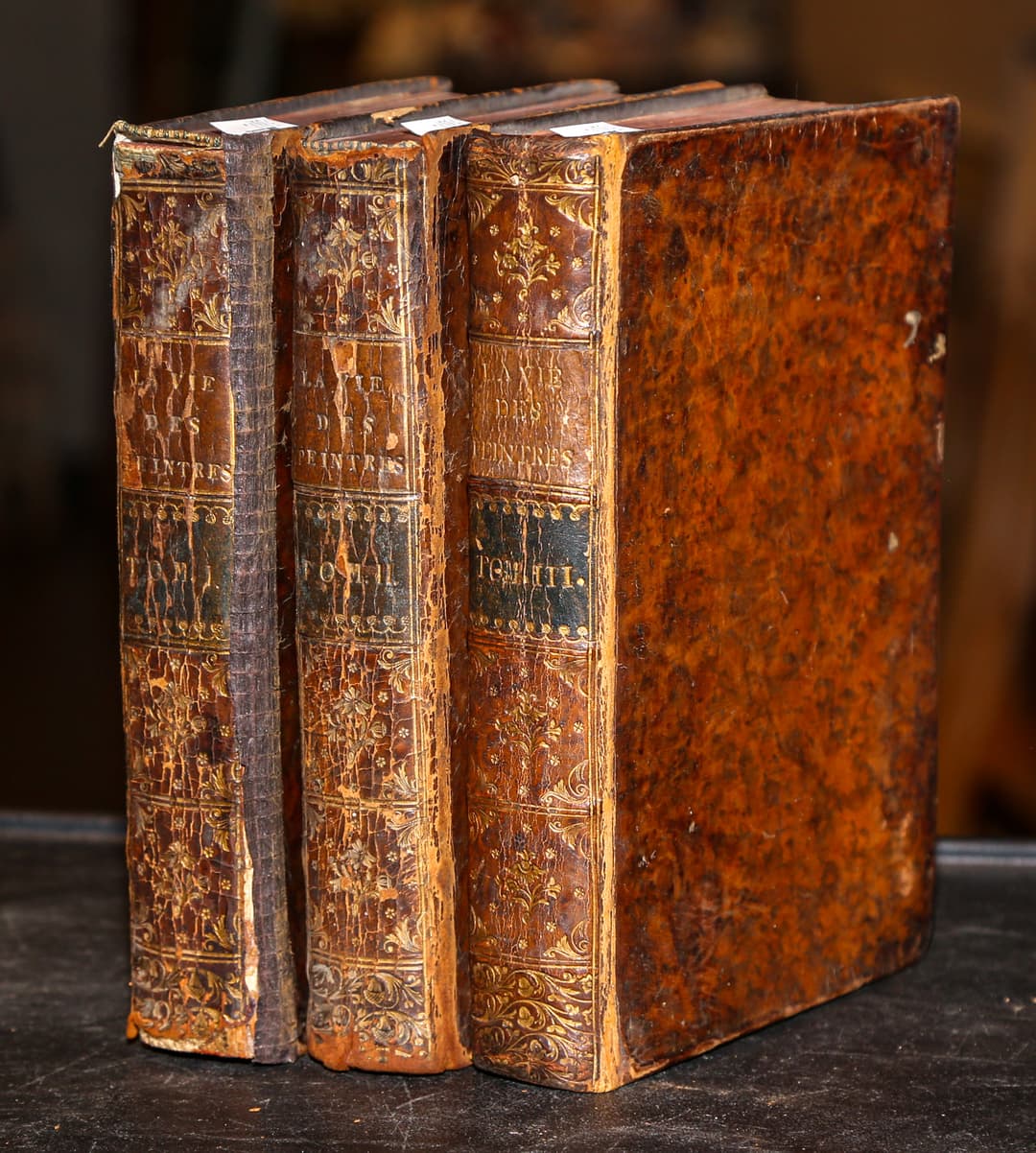 "The Lives of Flemish Painters," Three Volumes